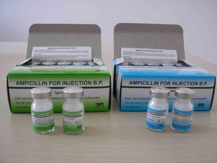 Ампициллин при наступившей беременности: инструкция по применению на ранних сроках, на втором и третьем триместрах