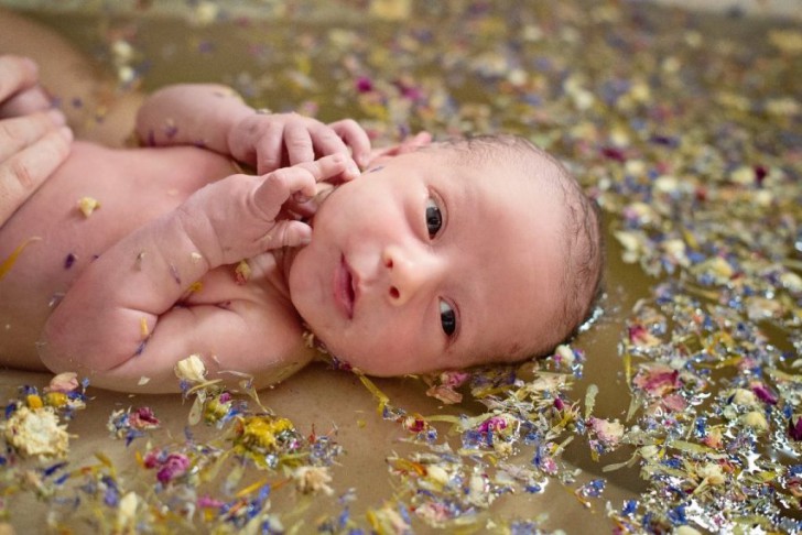 Череда для купания новорожденного: как заварить траву и как правильно купать ребенка в ванне с чередой?