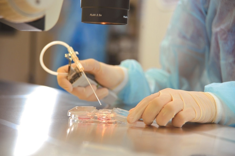 Оценка качества эмбрионов для переноса при ЭКО: классификация и шансы на имплантацию