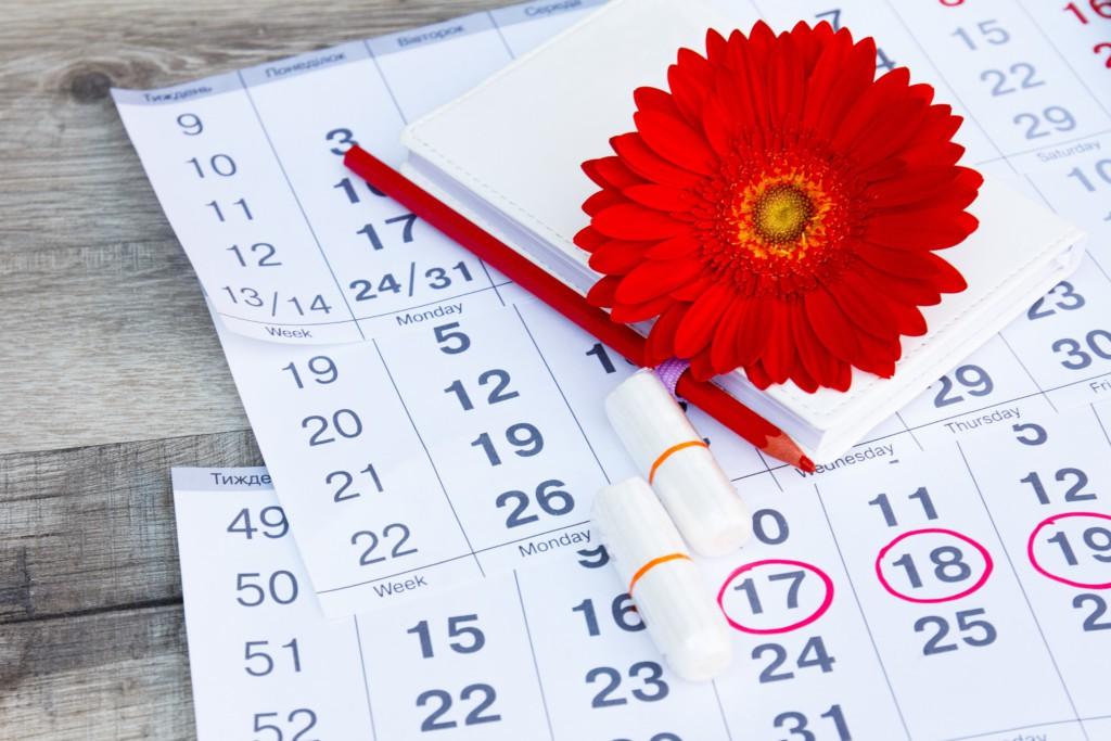 Календарь месячного цикла: как правильно рассчитать дату начала менструации?