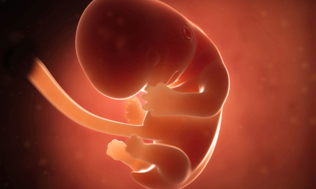 Причины крупного плода при беременности, диагностика и сопутствующие признаки, возможные последствия и течение родов