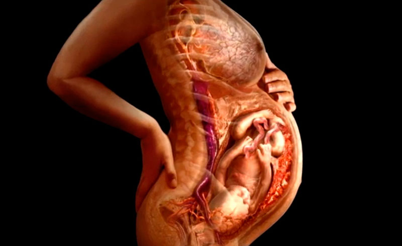 Патогенез плацентарной недостаточности при беременности: что это такое, какие причины развития нарушения?