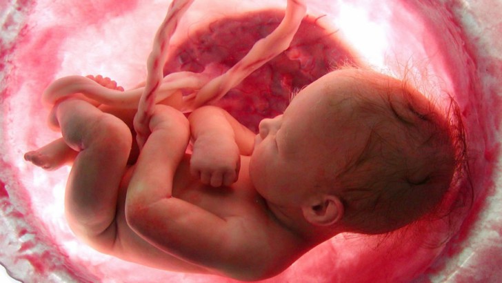 Как развивающийся в утробе матери ребенок дышит, каким образом плод в матке получает кислород?
