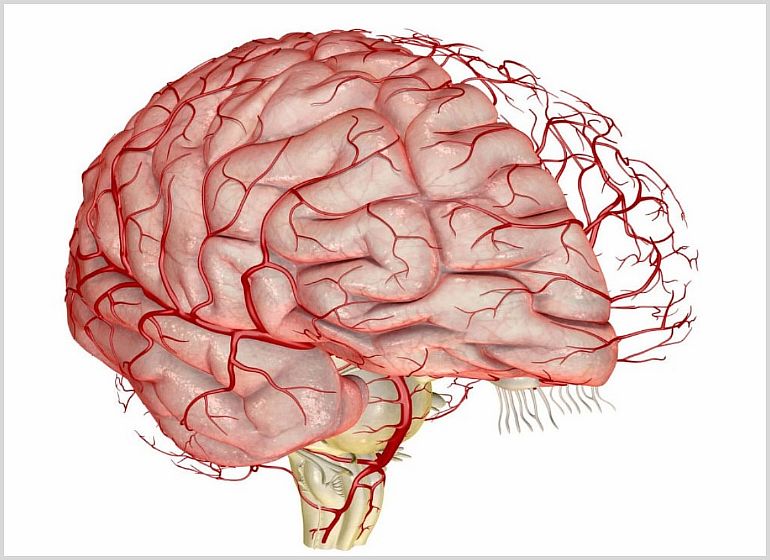 Как снять спазм сосудов головного мозга