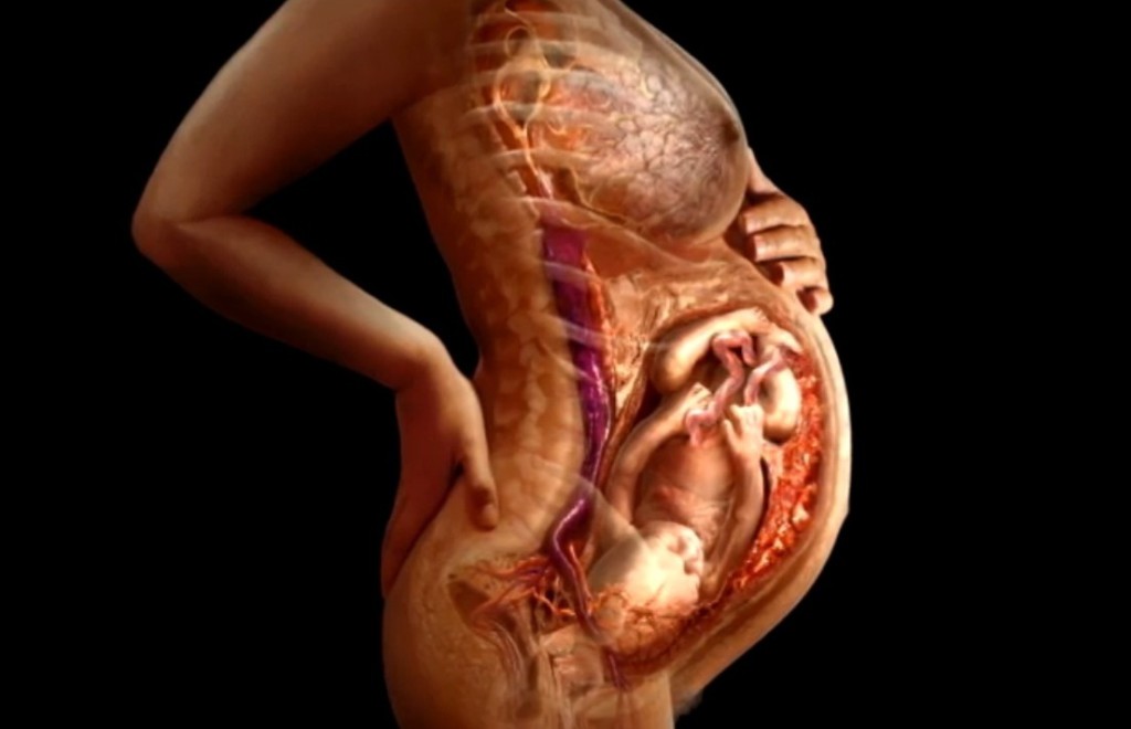 Низкое расположение в матке плода при беременности: в чем причина, что делать и может ли ребенок подняться?