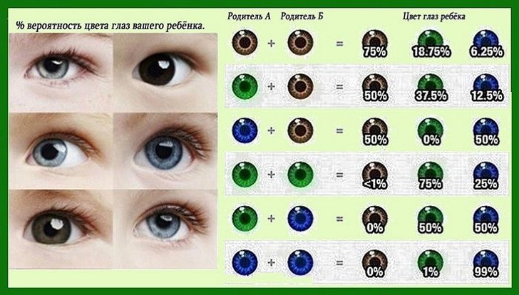 Таблица-совместимости-глаз-родителей-и-ребенка