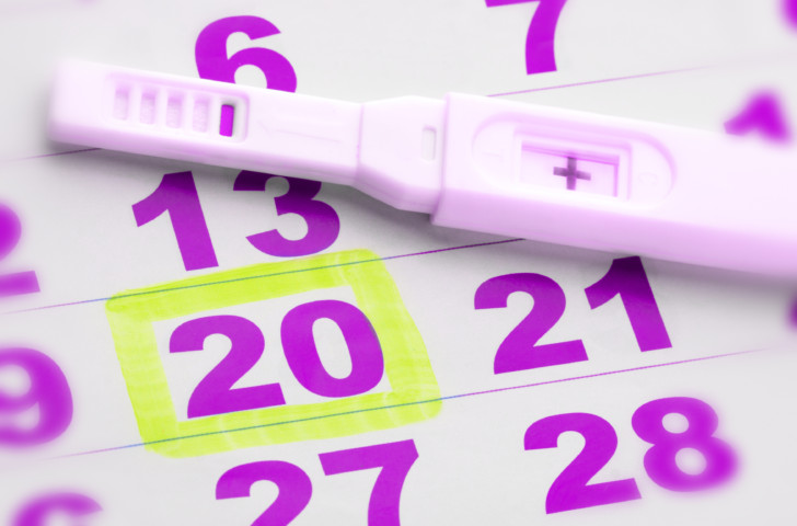 Как правильно считать срок беременности при ЭКО: когда наступает зачатие после переноса эмбрионов?