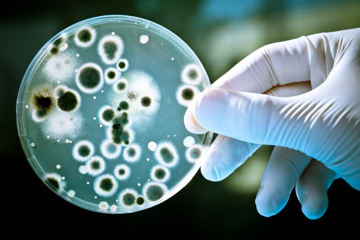 При обнаружении бактерий в моче у ребенка необходимо сдать анализы биоматериала, для выявления первопричины патологического состояния 
