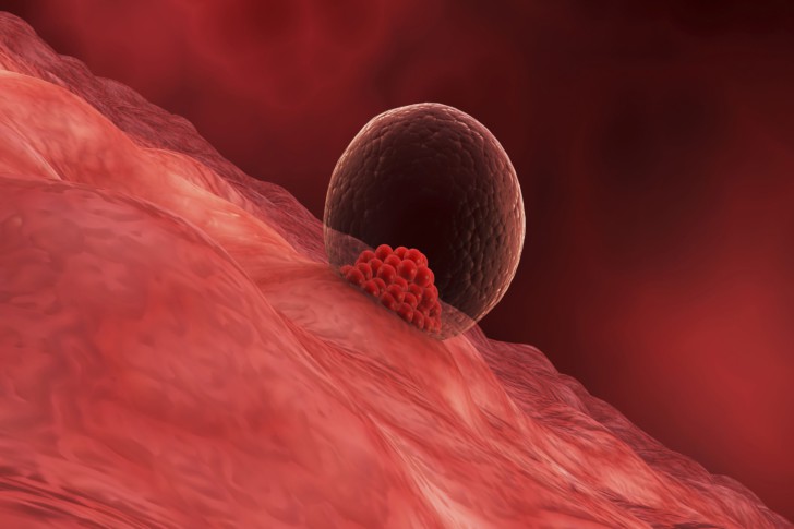 Как отличить менструацию от маточного кровотечения: отличия обильных месячных от патологических кровянистых выделений