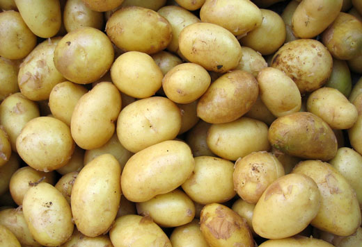 Молодой картофель
