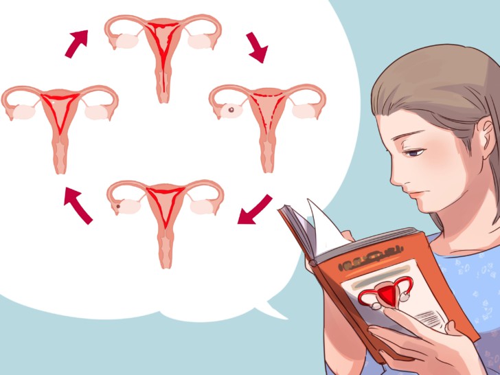 Почему месячные обильные и идут долго: какие причины длительной менструации и что делать, если она идет дольше 10 дней?