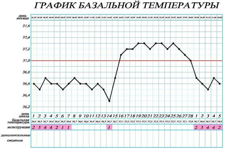 Измерение базальной температуры и составление БТ графика: как это сделать правильно, каковы нормы?