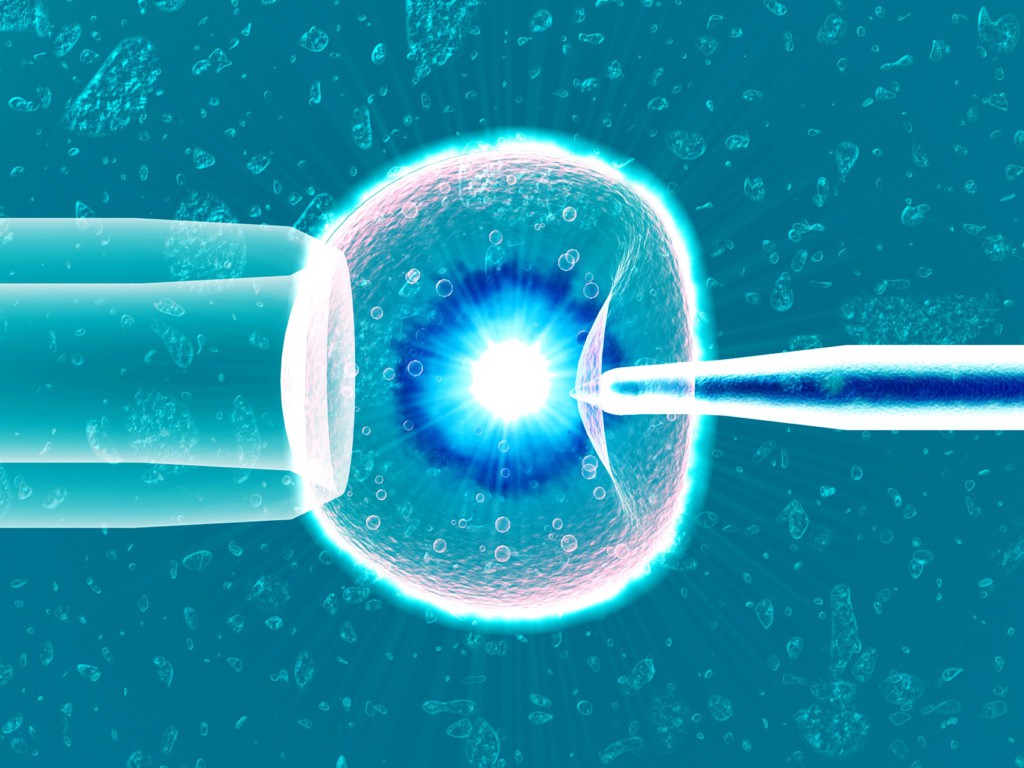 Для чего и каким образом проводят криоконсервацию эмбрионов и их подсадку, что дает этот метод при проведении ЭКО?