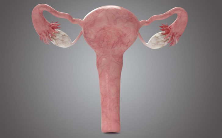 Понятие седловидной матки: что это значит и какие бывают формы, как выбрать позу для зачатия и можно ли забеременеть?