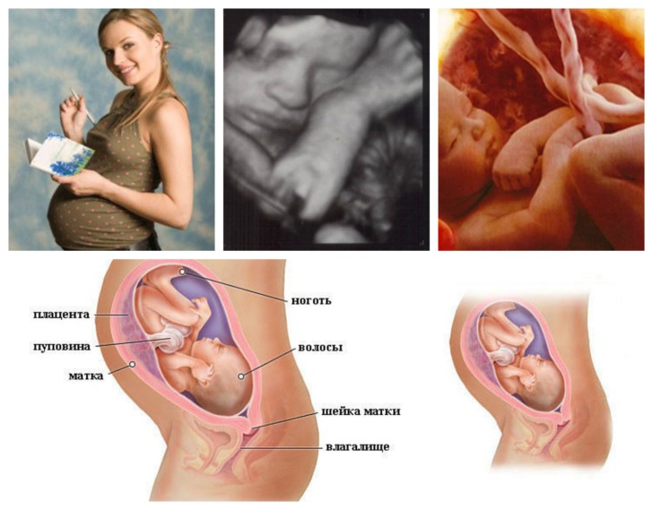 32 недели беременности: что происходит с малышом и мамой, какие ощущения женщины, как проходит развитие плода?