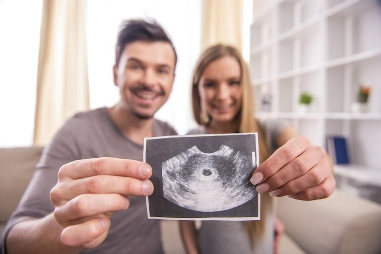 Первая процедура УЗИ во время беременности: во сколько недель ее делают и что она показывает?