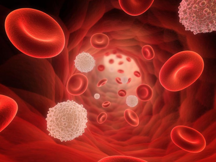 Во время беременности в крови понижены лимфоциты: к чему может привести отклонение от нормы?