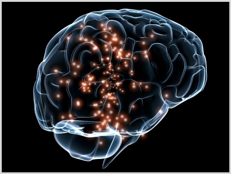 Функции правого и левого полушария мозга человека
