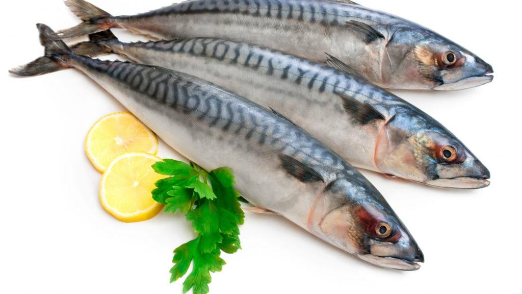 Польза и вред скумбрии для организма, химический состав рыбы, способы приготовления и противопоказания