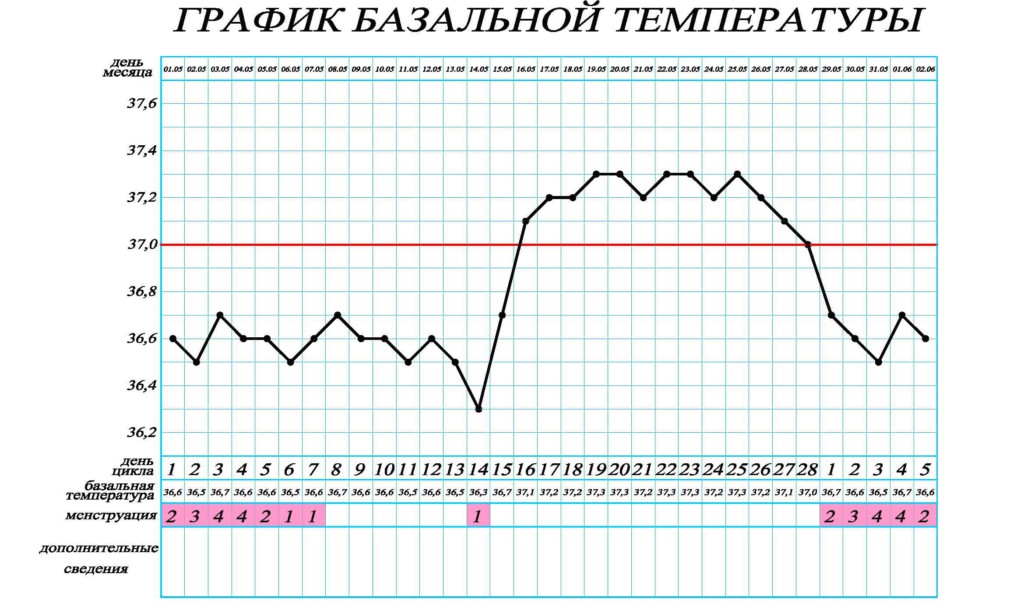 Какая базальная температура должна быть в период овуляции, как правильно измерять и вести график БТ?