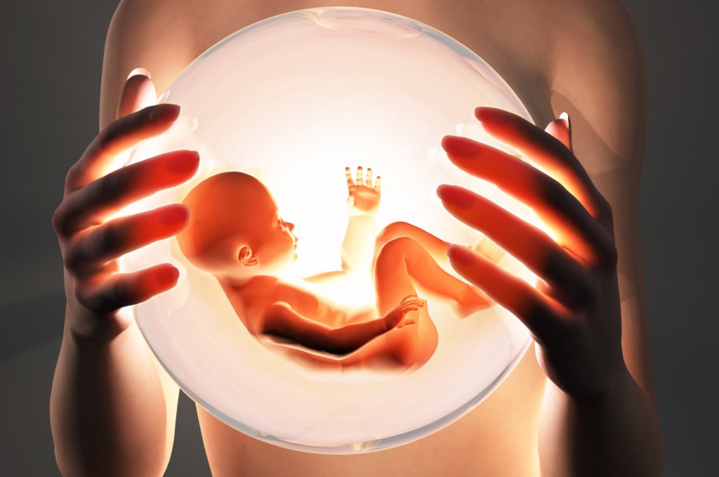 Развитие эмбриона с первых дней зачатия при ЭКО: когда происходит подсадка, как растет плод?
