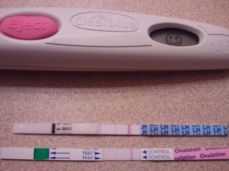 Может ли тест на овуляцию определить беременность, что он покажет в случае зачатия?