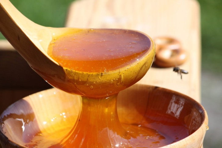 Можно ли во время беременности есть мед, каковы польза и вред этого продукта?