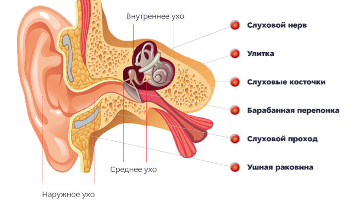Как проводят процедуру шунтирования ушей у детей и какие могут быть последствия?