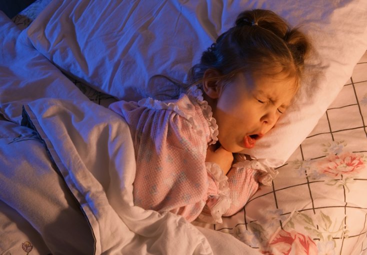 Причины возникновения бронхита у детей 2-3 лет, симптомы и лечение в домашних условиях