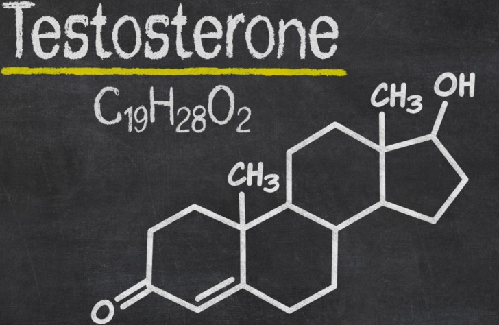 Нормы тестостерона у женщин разного возраста, причины и симптомы повышенного и пониженного уровня гормона